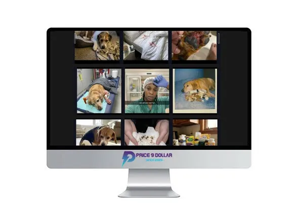 Satish Prajapati – Native Ads 3 Satish Prajapati – Native Ads